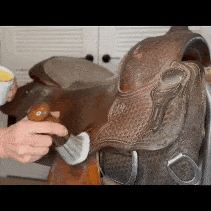 Applying the salve with the brush