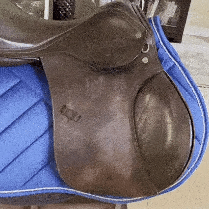 Dry leather tack before conditioning