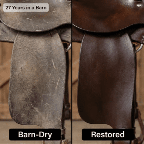 Oak & Amber™ Saddle & Tack Restoration Salve